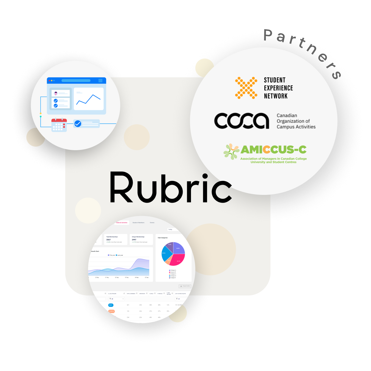 Rubric partners and values